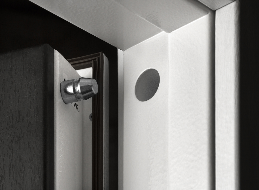 Close-up of a high-security door hinge-side security bolt